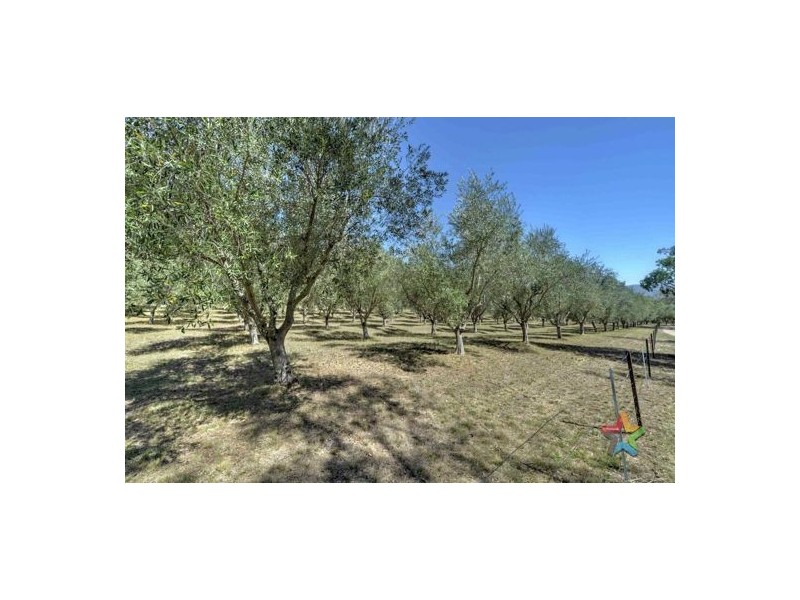 472 Moonbi Gap Road, Tamworth NSW 2340