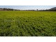 ‘Elwyn’ 2722 Duri-Dungowan Road, Tamworth NSW 2340
