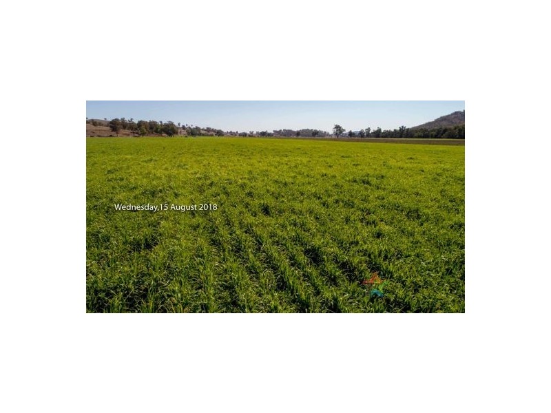 ‘Elwyn’ 2722 Duri-Dungowan Road, Tamworth NSW 2340