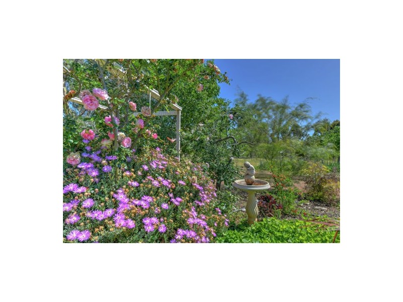 55 Kingswood Drive, Tamworth NSW 2340