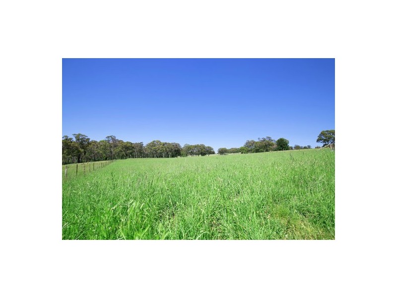 ‘Hillcrest’ 114 Black Mountain Road, Black Mountain NSW 2365