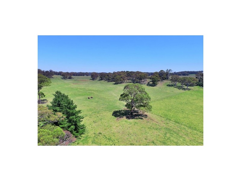 ‘Hillcrest’ 114 Black Mountain Road, Black Mountain NSW 2365