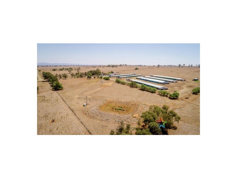 Wattlevale 153 Byamee Lane, Tamworth NSW 2340