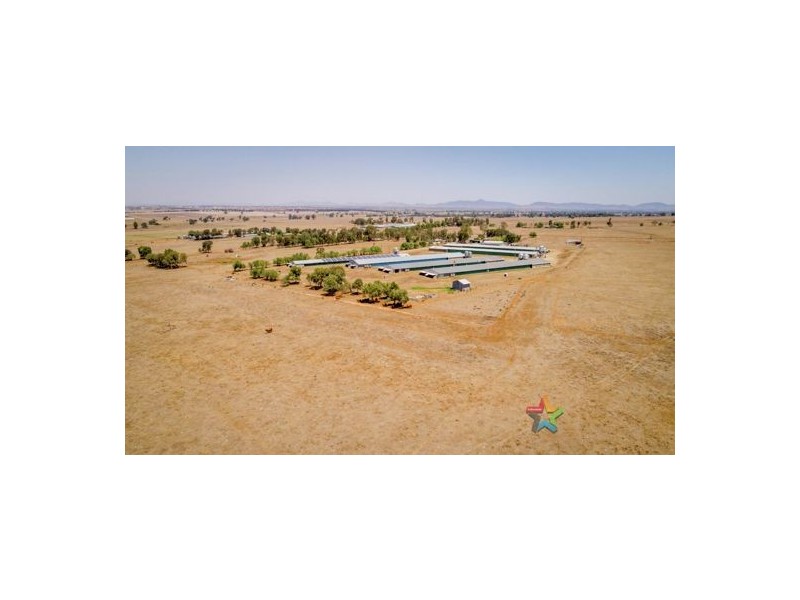 Wattlevale 153 Byamee Lane, Tamworth NSW 2340