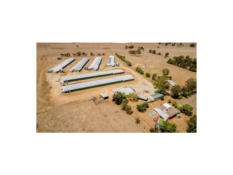 Wattlevale 153 Byamee Lane, Tamworth NSW 2340