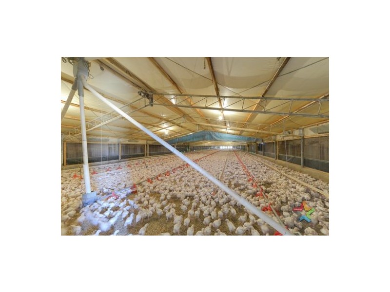 Wattlevale 153 Byamee Lane, Tamworth NSW 2340