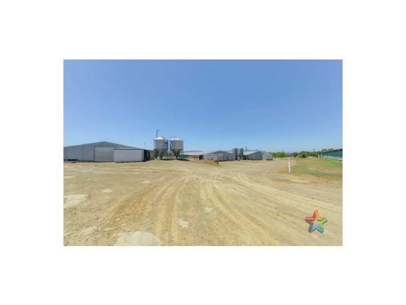 Wattlevale 153 Byamee Lane, Tamworth NSW 2340