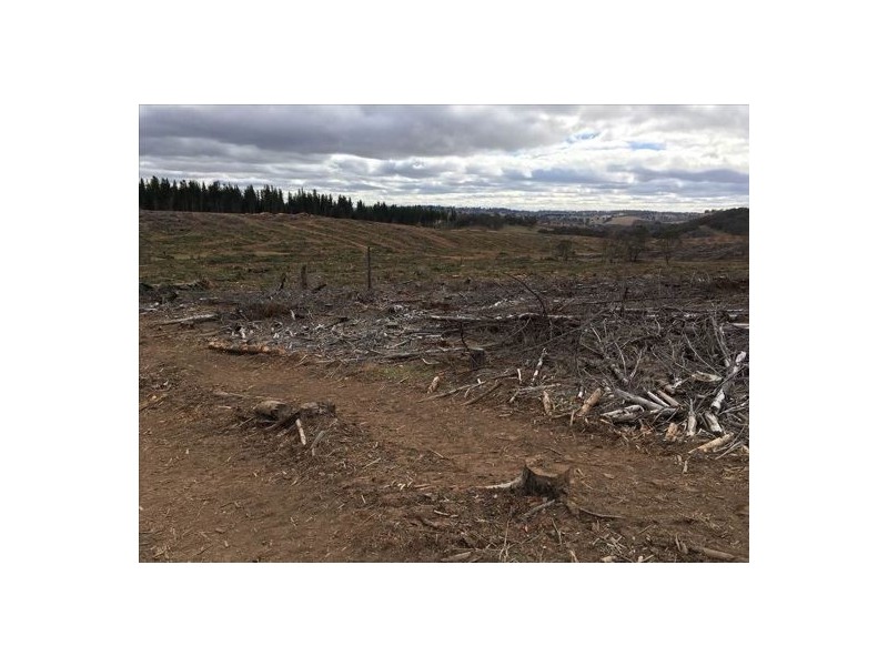 Glengarry 373 Coolumbooka Road, Bombala NSW 2632