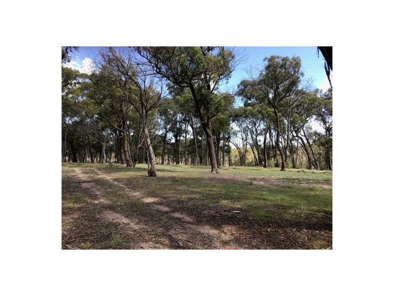 372 Black Mountain Road, Black Mountain NSW 2365