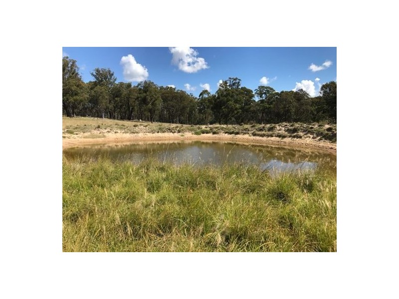 372 Black Mountain Road, Black Mountain NSW 2365