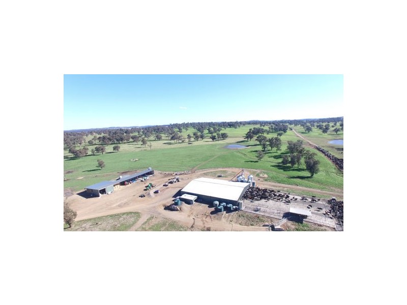 Walcha Dairy Thunderbolts Way, Walcha NSW 2354