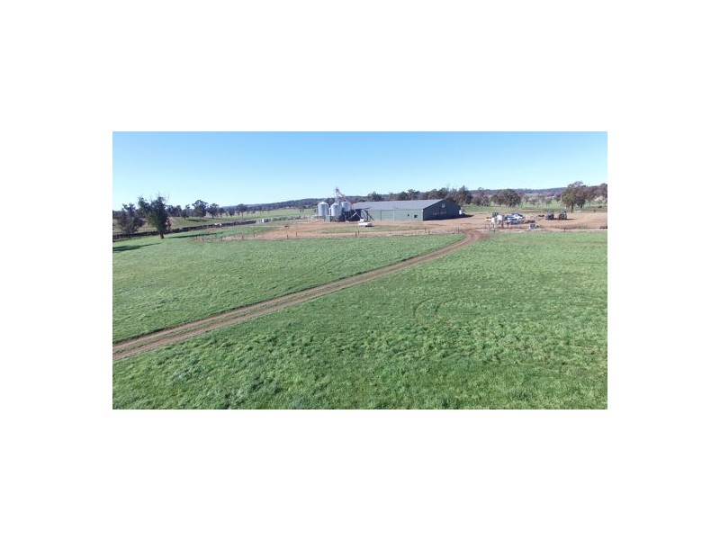 Walcha Dairy Thunderbolts Way, Walcha NSW 2354