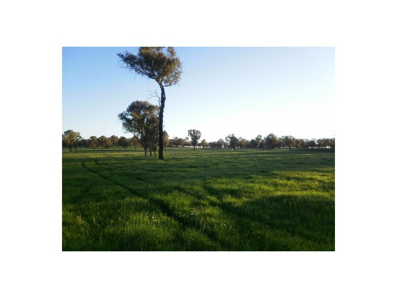 Walcha Dairy Thunderbolts Way, Walcha NSW 2354