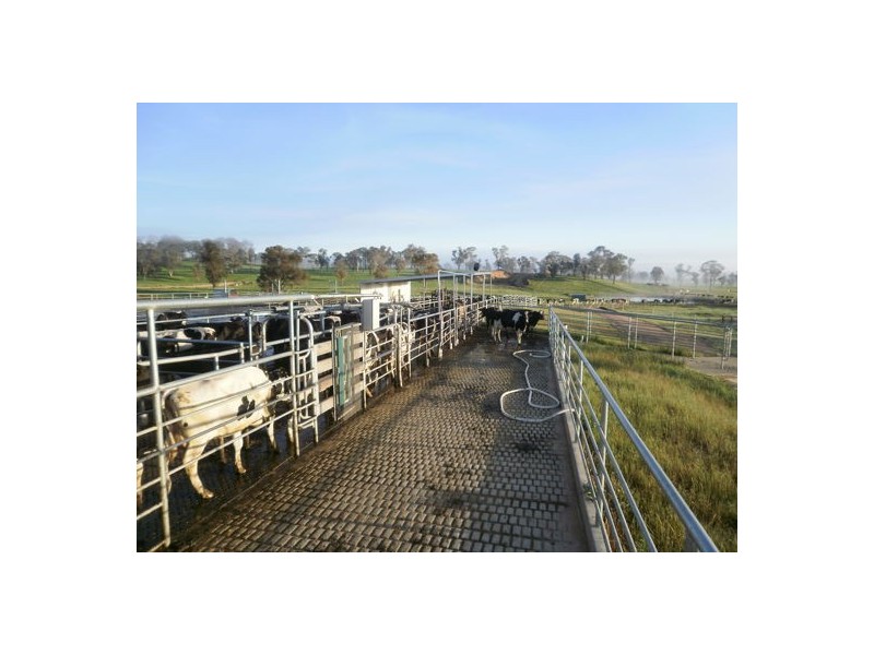 Walcha Dairy Thunderbolts Way, Walcha NSW 2354