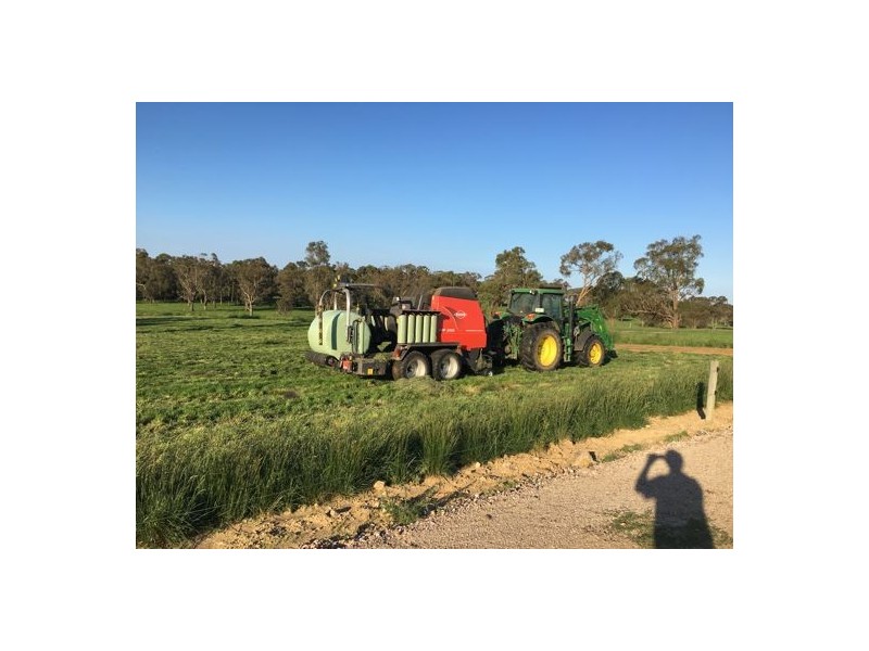 Walcha Dairy Thunderbolts Way, Walcha NSW 2354