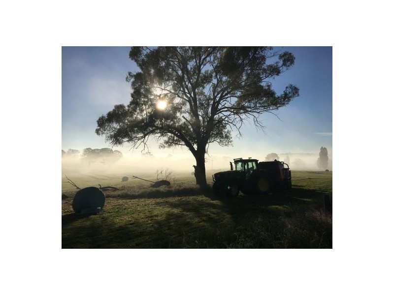 Walcha Dairy Thunderbolts Way, Walcha NSW 2354
