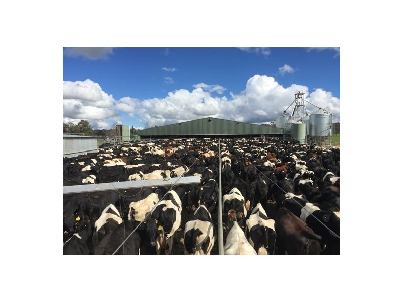 Walcha Dairy Thunderbolts Way, Walcha NSW 2354