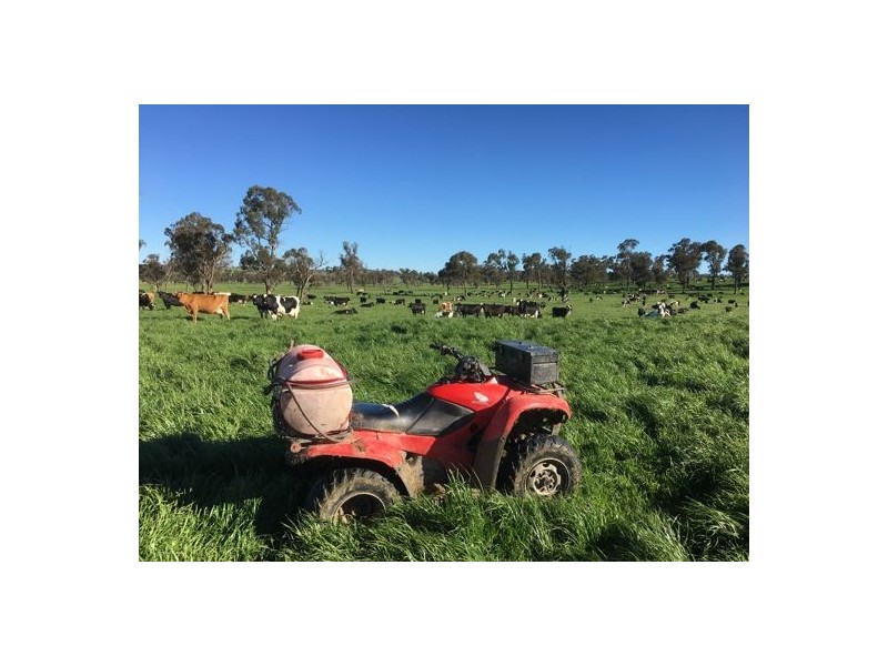 Walcha Dairy Thunderbolts Way, Walcha NSW 2354