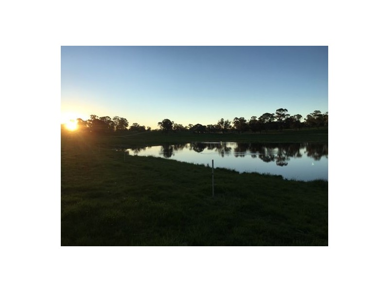 Walcha Dairy Thunderbolts Way, Walcha NSW 2354