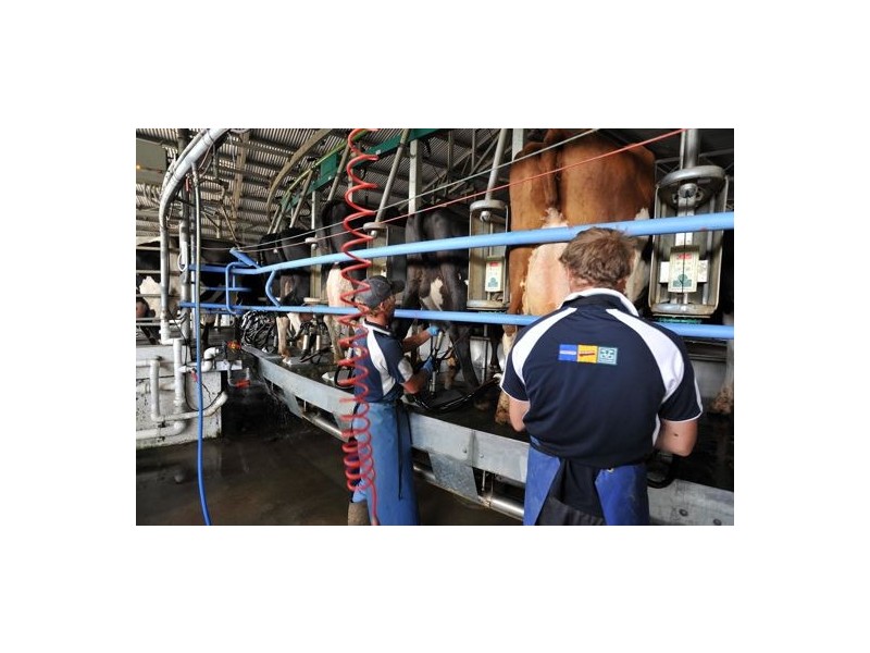 Walcha Dairy Thunderbolts Way, Walcha NSW 2354