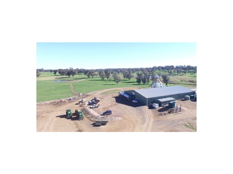 Walcha Dairy Thunderbolts Way, Walcha NSW 2354