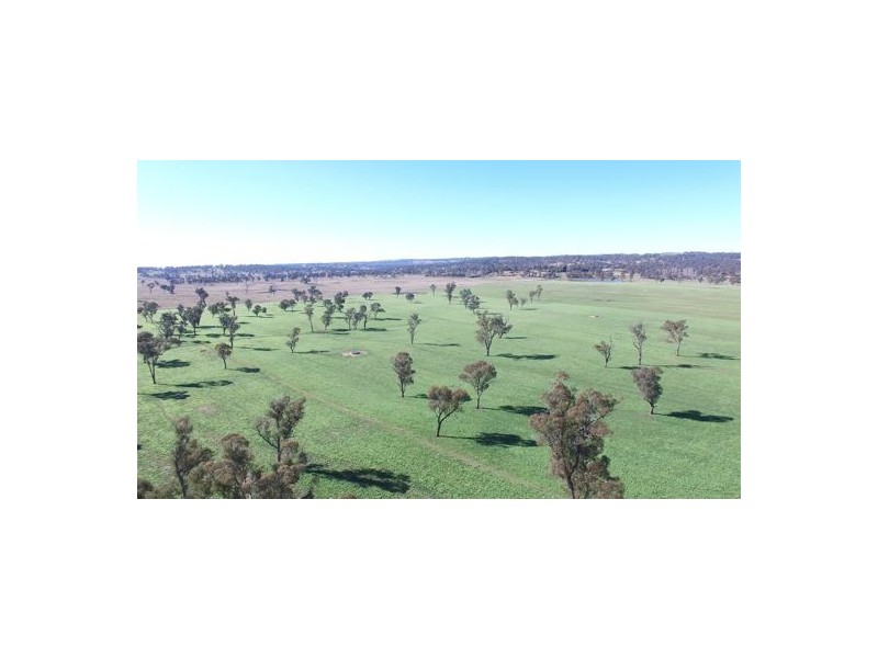 Walcha Dairy Thunderbolts Way, Walcha NSW 2354