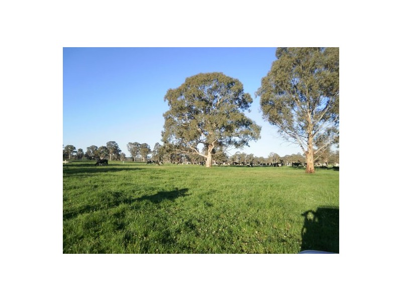 Walcha Dairy Thunderbolts Way, Walcha NSW 2354