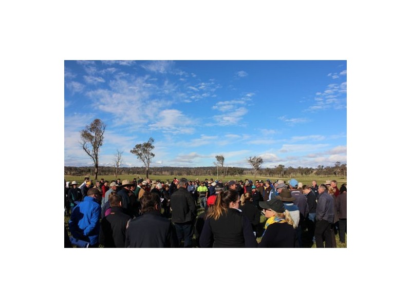 Walcha Dairy Thunderbolts Way, Walcha NSW 2354