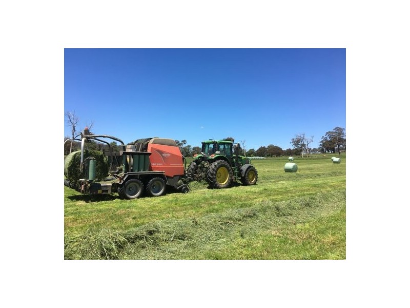 Walcha Dairy Thunderbolts Way, Walcha NSW 2354