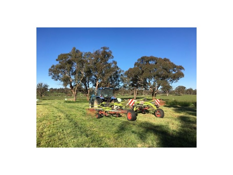 Walcha Dairy Thunderbolts Way, Walcha NSW 2354