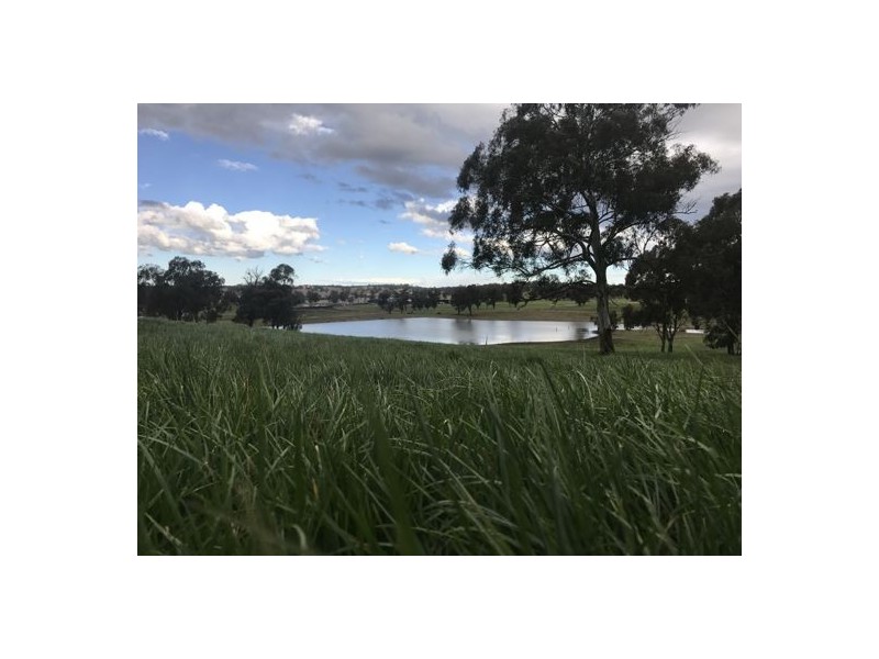 Walcha Dairy Thunderbolts Way, Walcha NSW 2354