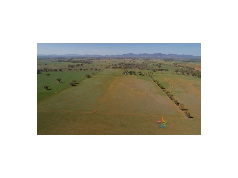 61 Melrose Lane, Tamworth NSW 2340