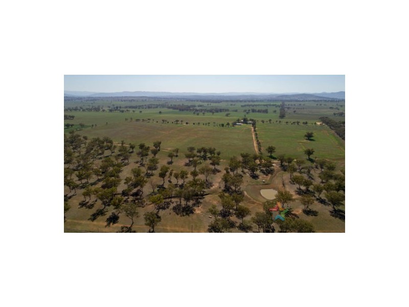 61 Melrose Lane, Tamworth NSW 2340