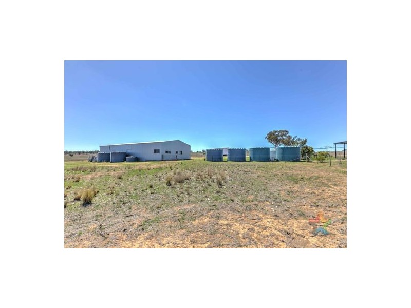 “Elizabeth Farm 720 Old Winton Road, Tamworth NSW 2340