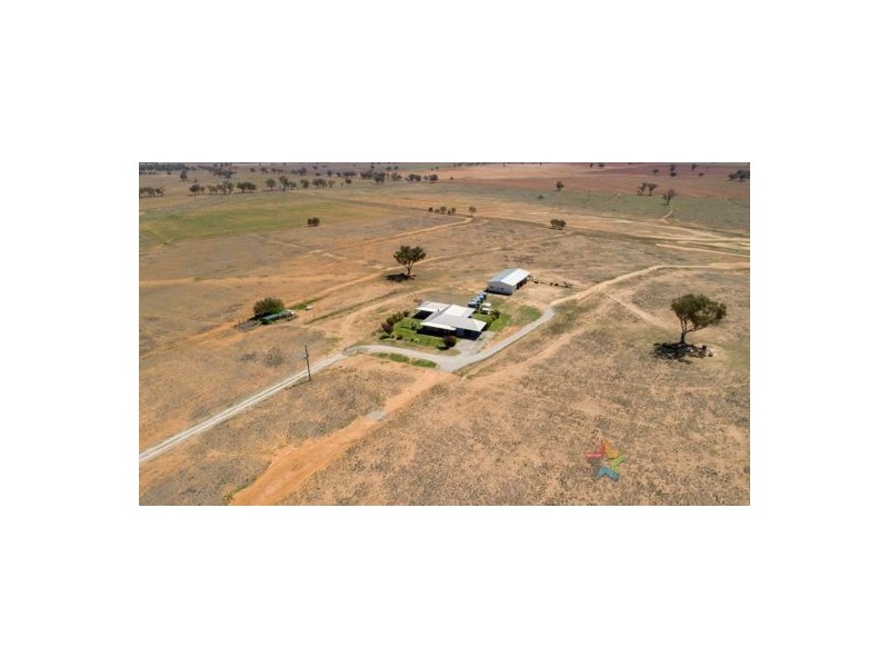 “Elizabeth Farm 720 Old Winton Road, Tamworth NSW 2340