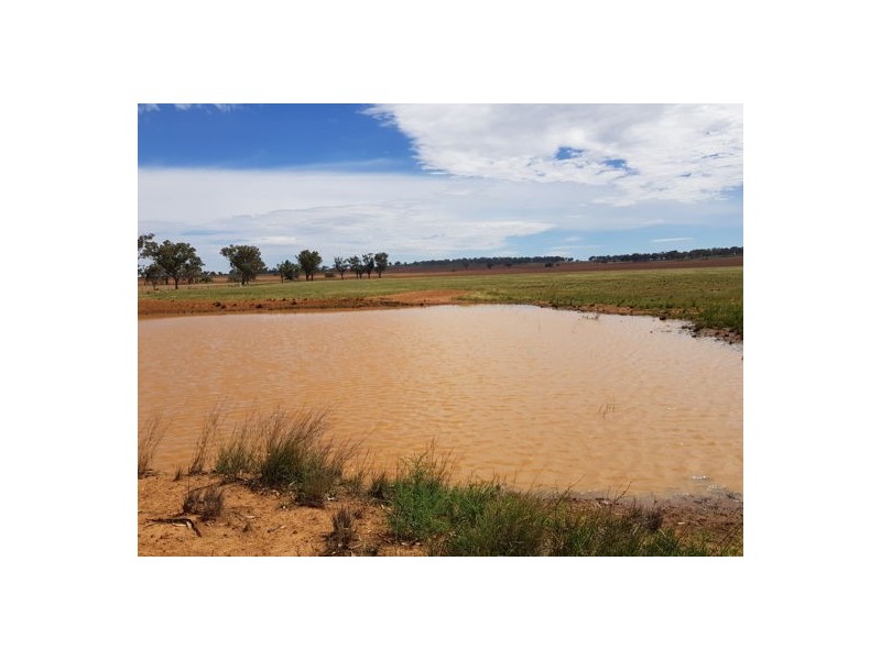 “Elizabeth Farm 720 Old Winton Road, Tamworth NSW 2340