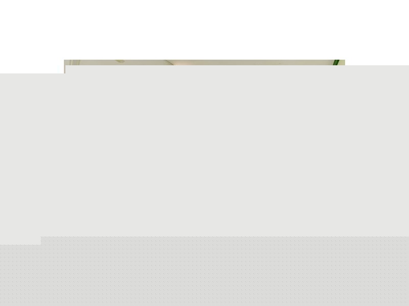 147 Denison Street, Tamworth NSW 2340