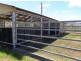 352 Ogunbil Road “Nickabella” Dungowan, Tamworth NSW 2340