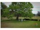 1221 Nowendoc Road, Niangala NSW 2354