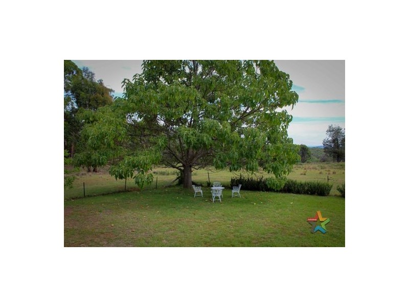 1221 Nowendoc Road, Niangala NSW 2354