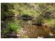 1221 Nowendoc Road, Niangala NSW 2354