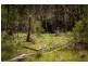 1221 Nowendoc Road, Niangala NSW 2354