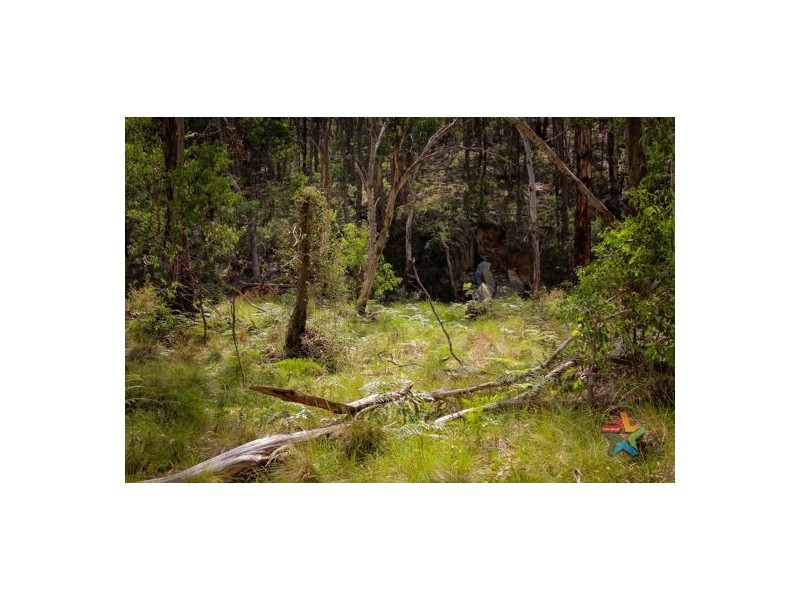 1221 Nowendoc Road, Niangala NSW 2354
