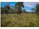 1221 Nowendoc Road, Niangala NSW 2354