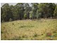 1221 Nowendoc Road, Niangala NSW 2354