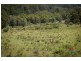 1221 Nowendoc Road, Niangala NSW 2354