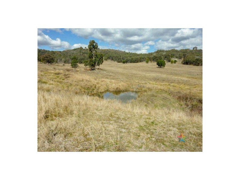 “The Grange” 2337 Danglemah Road, Woolbrook NSW 2354