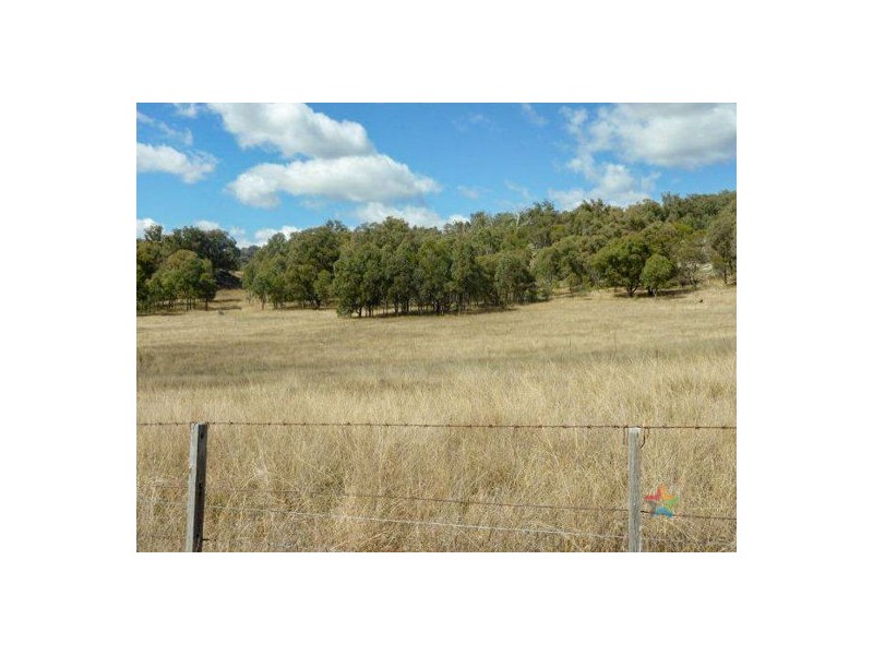 “The Grange” 2337 Danglemah Road, Woolbrook NSW 2354