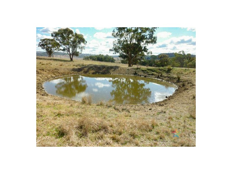 “The Grange” 2337 Danglemah Road, Woolbrook NSW 2354