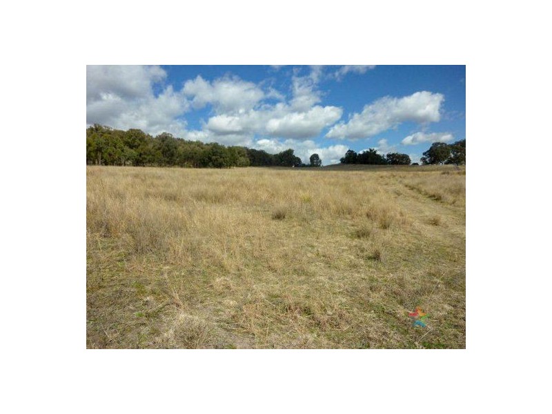 “The Grange” 2337 Danglemah Road, Woolbrook NSW 2354